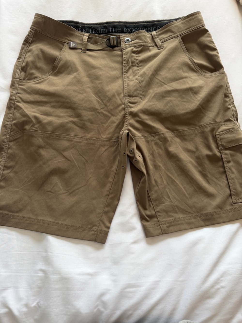 prAna Men's Stretch Zion 10" Shorts
